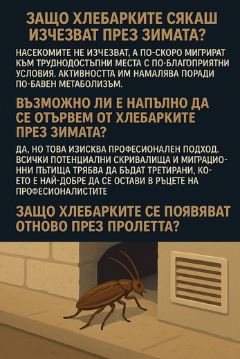 защо хлебарките изчезват през зимата